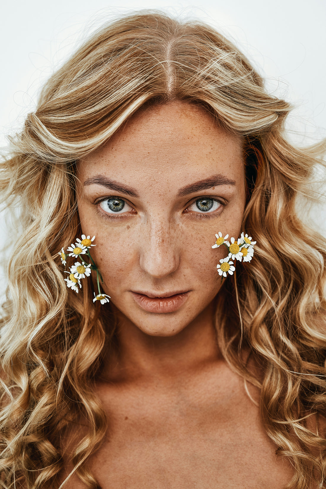 Embark on a Journey with Chamomile for Your Hair and Scalp