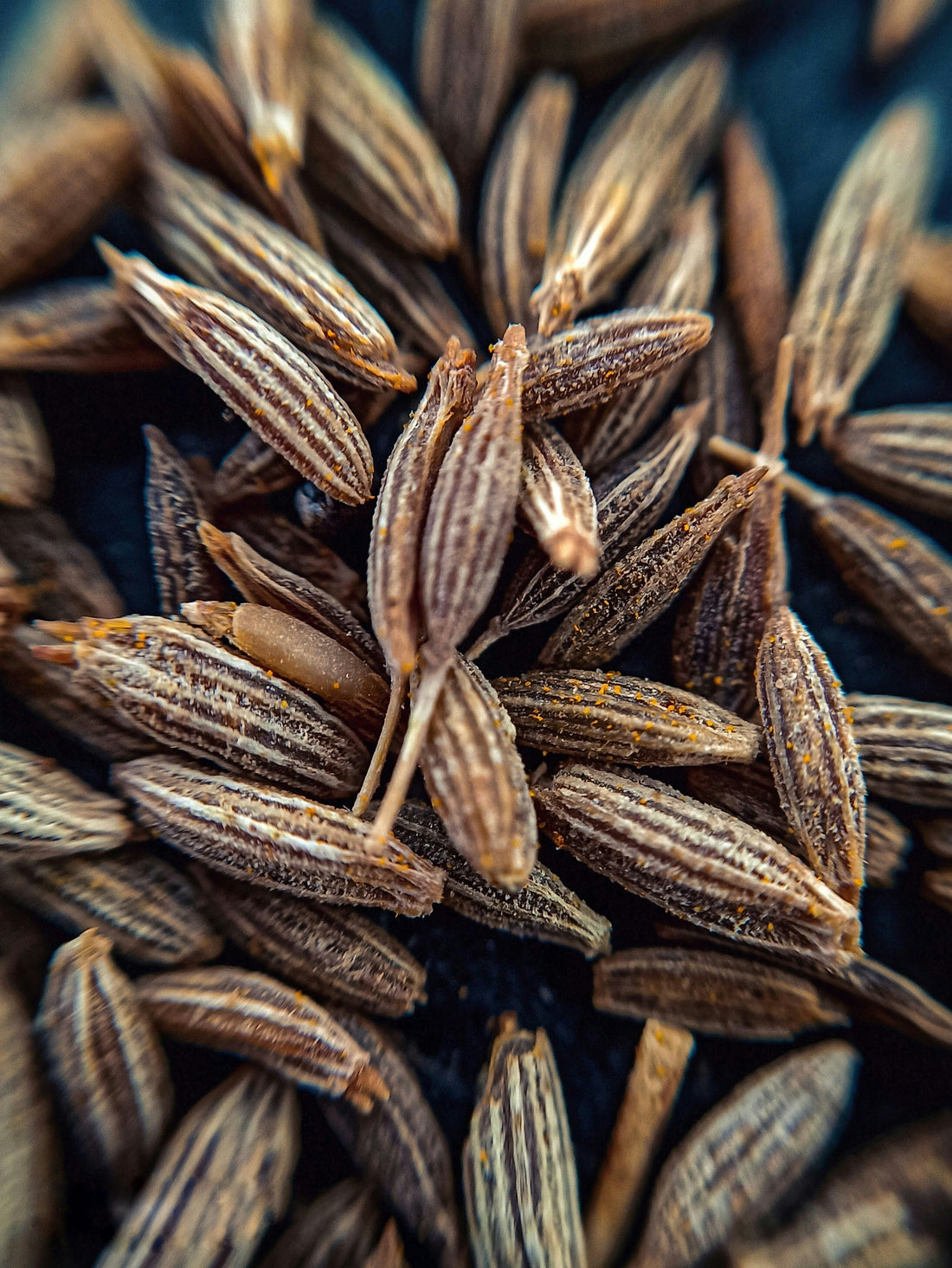 The Spicy Scalp Showdown: Cumin Seed Essential Oil for Scalp Treatment and Hair Growth