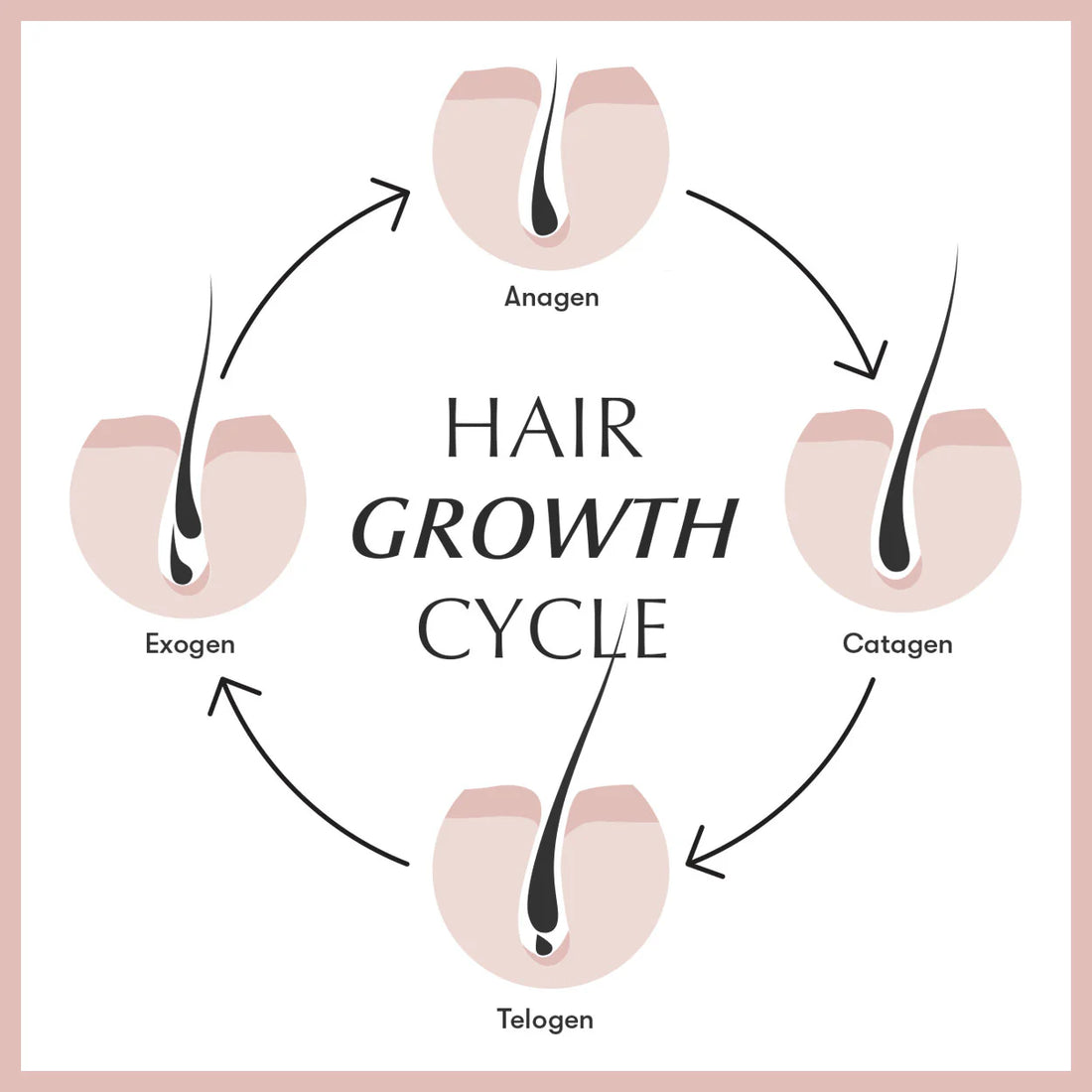 Understanding Hair Growth – The Hair Growth Cycle and the Role of LLLT