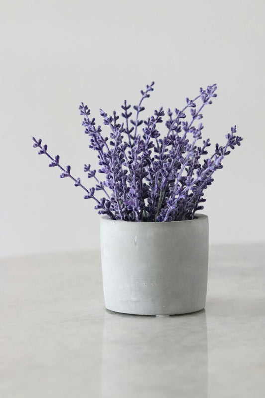 Unlock the Secret to Hair Growth with Lavender