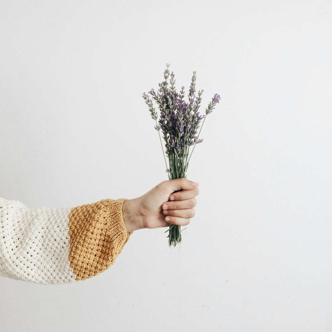 Say Goodbye to Dandruff with Lavender: Nature's Gentle Solution